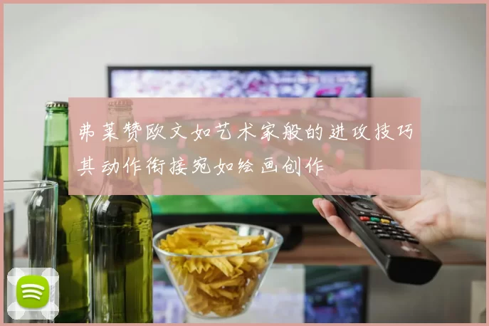 弗莱赞欧文如艺术家般的进攻技巧其动作衔接宛如绘画创作